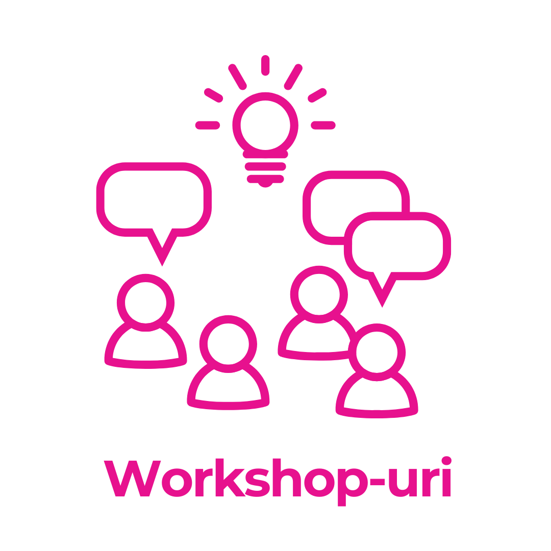 Interpretariat workshop-uri